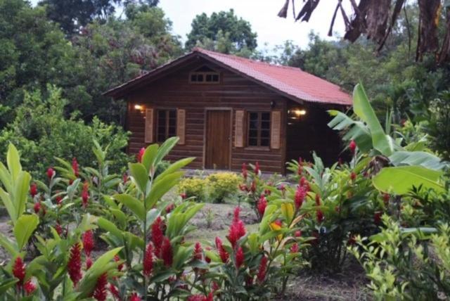 Hospedaje En El Lago San Pedro Sula Buitenkant foto